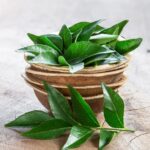 Curry Leaves