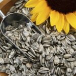 Sunflower Seeds