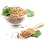 Coriander (Dhaniya)