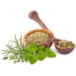 Oregano Seasoning